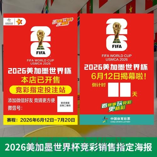 世界杯投注深度解读:从入口信息到实用攻略 世界杯投注深度解读:从入口信息到实用攻略